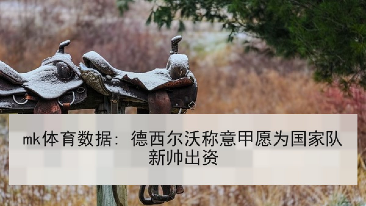mk体育数据: 德西尔沃称意甲愿为国家队新帅出资 mk体育数据: 德西尔沃称意甲愿为国家队新帅出资