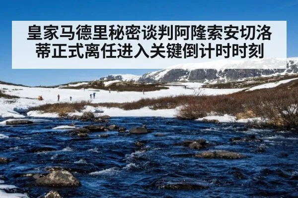 皇家马德里秘密谈判阿隆索安切洛蒂正式离任进入关键倒计时时刻